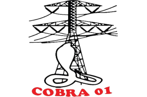 COBRA 01